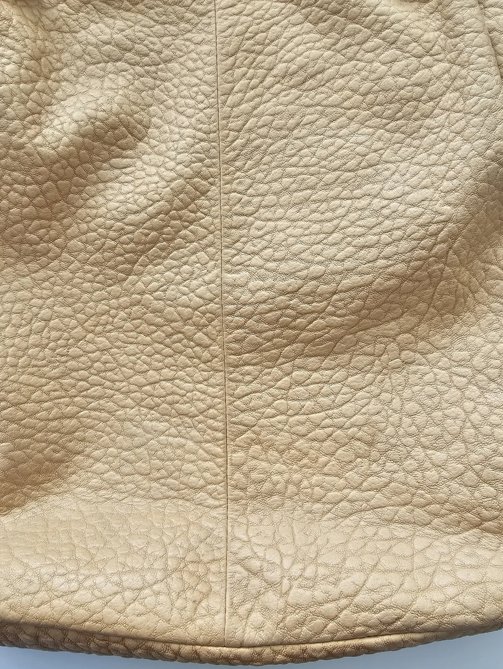 Cynthia Rowley Pebble Leather Floral Applique Hobo​ Bag